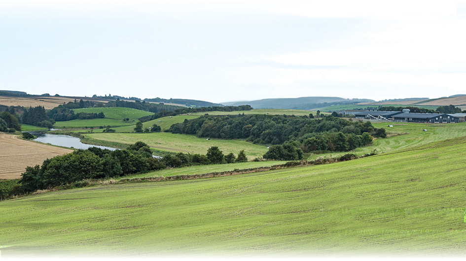 Our Land